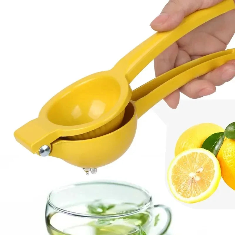 Sccaf53784f5646b3af281721af7dd30dG